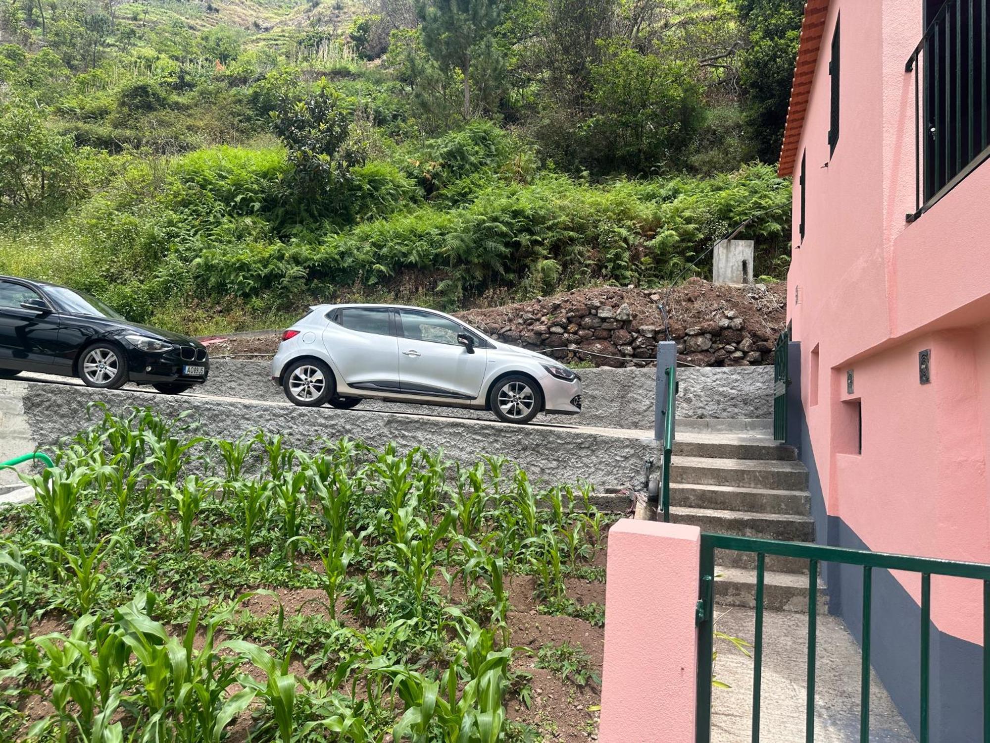 Casa Rosa Villa Ribeira Brava Kültér fotó
