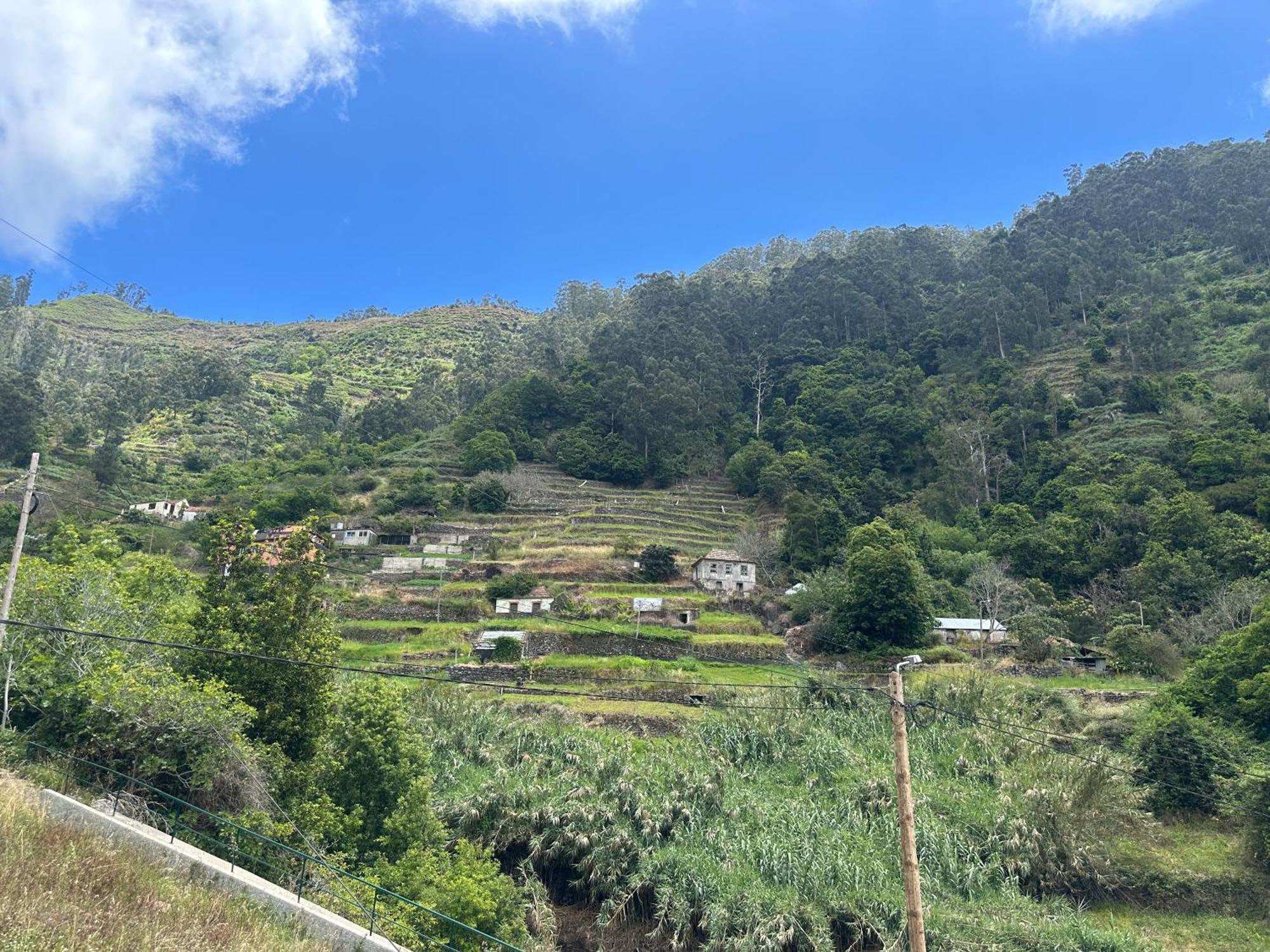 Casa Rosa Villa Ribeira Brava Kültér fotó